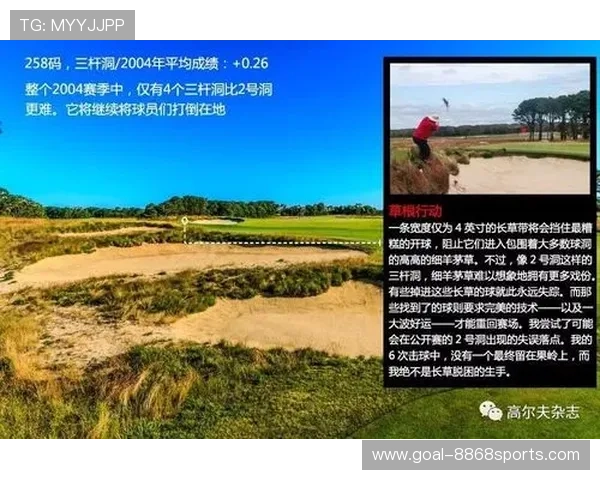 从草根到巨星男子足球球星成长历程与辉煌成就解析